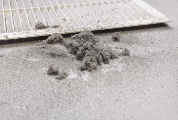 Best General Air Duct Cleaning  in Rosaryville, MD
